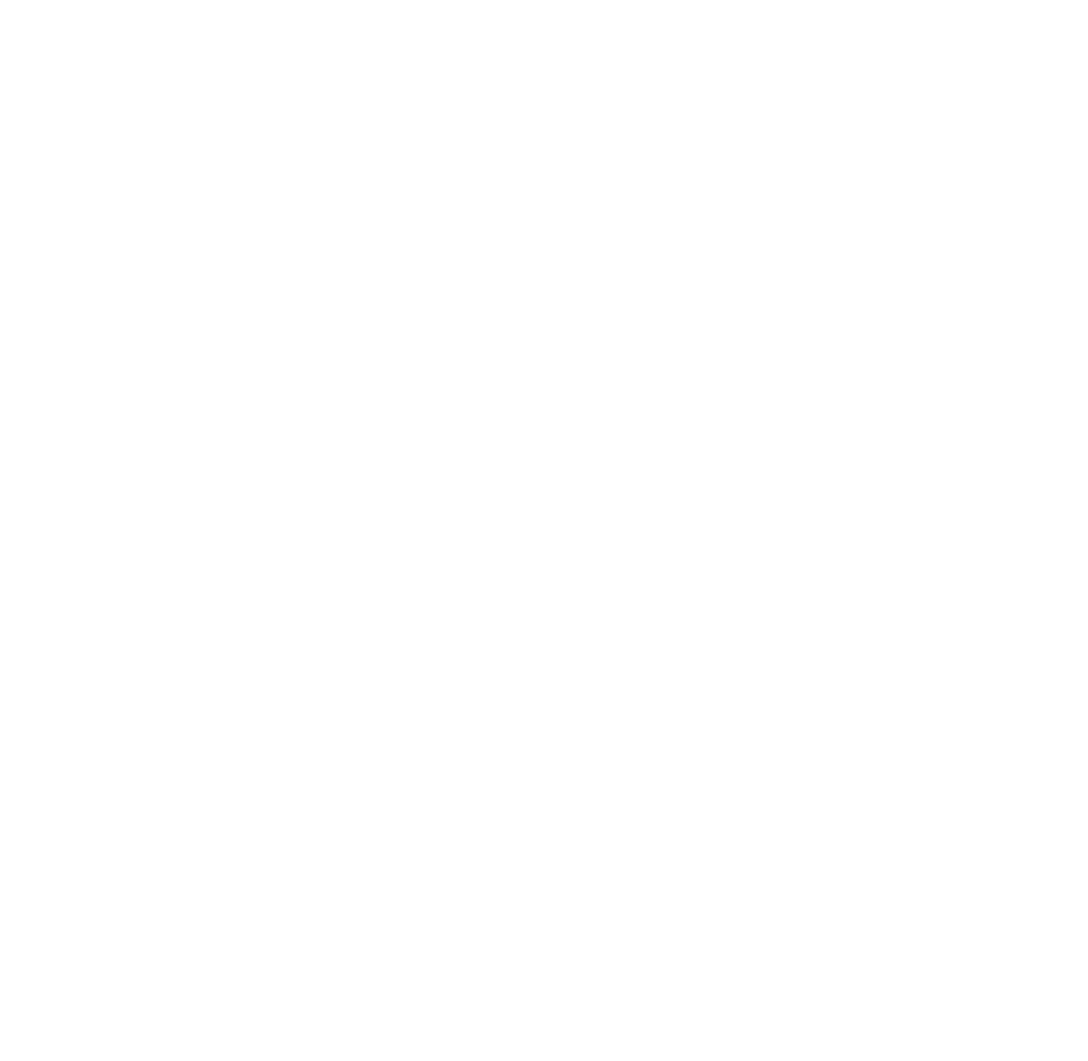 Smart Sailor logo
